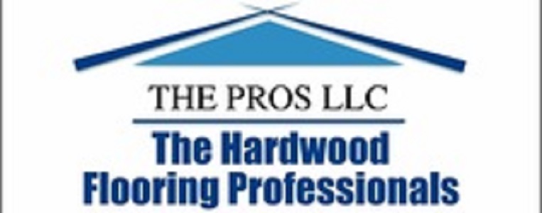 The Pros, LLC Logo