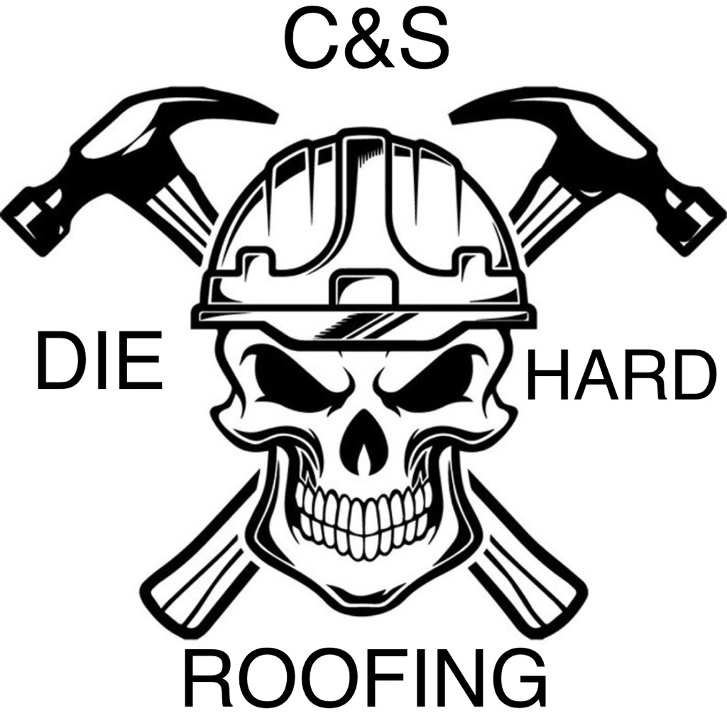 CNS Logo