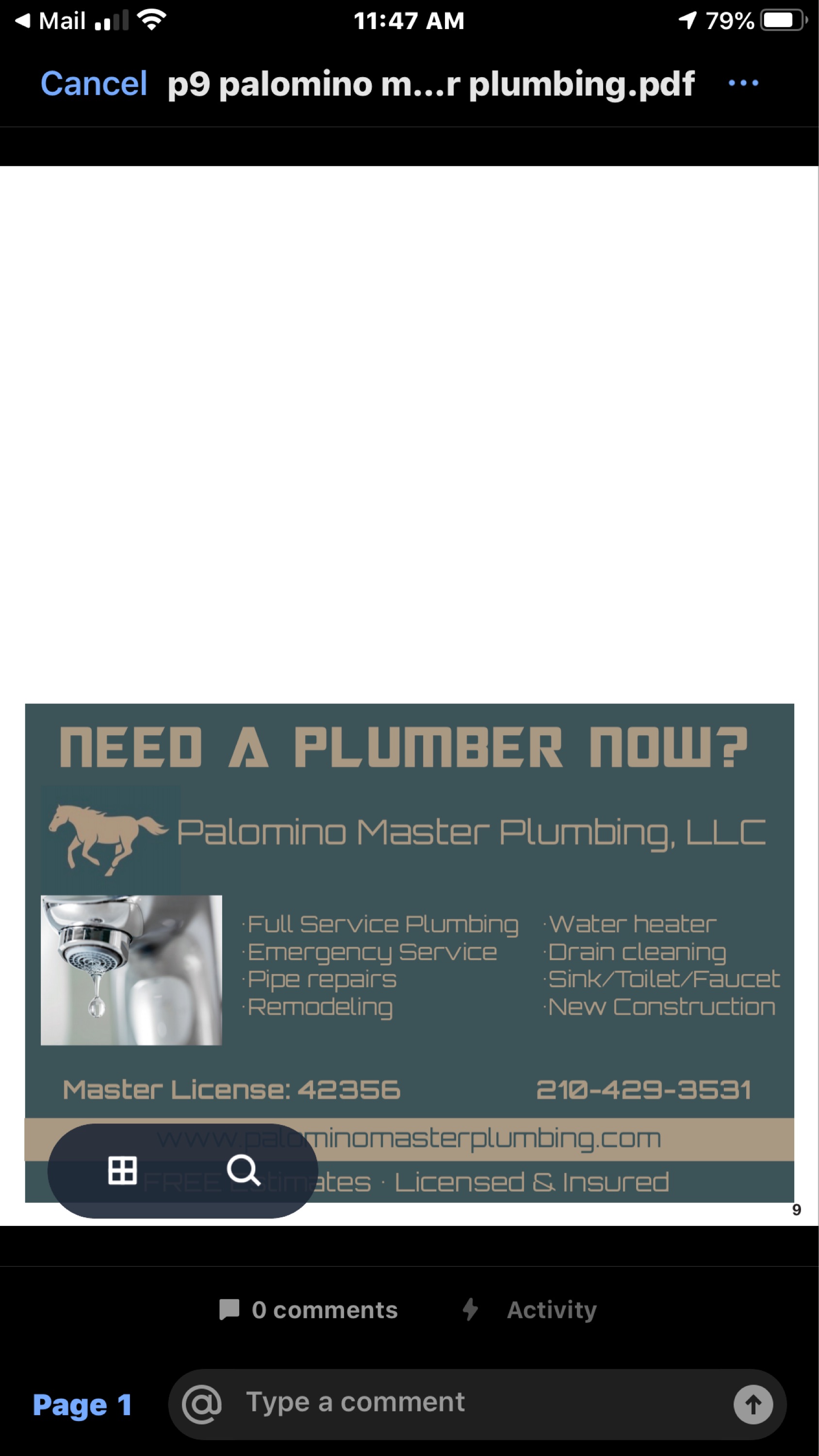 Palomino Master Plumbing, LLC Logo