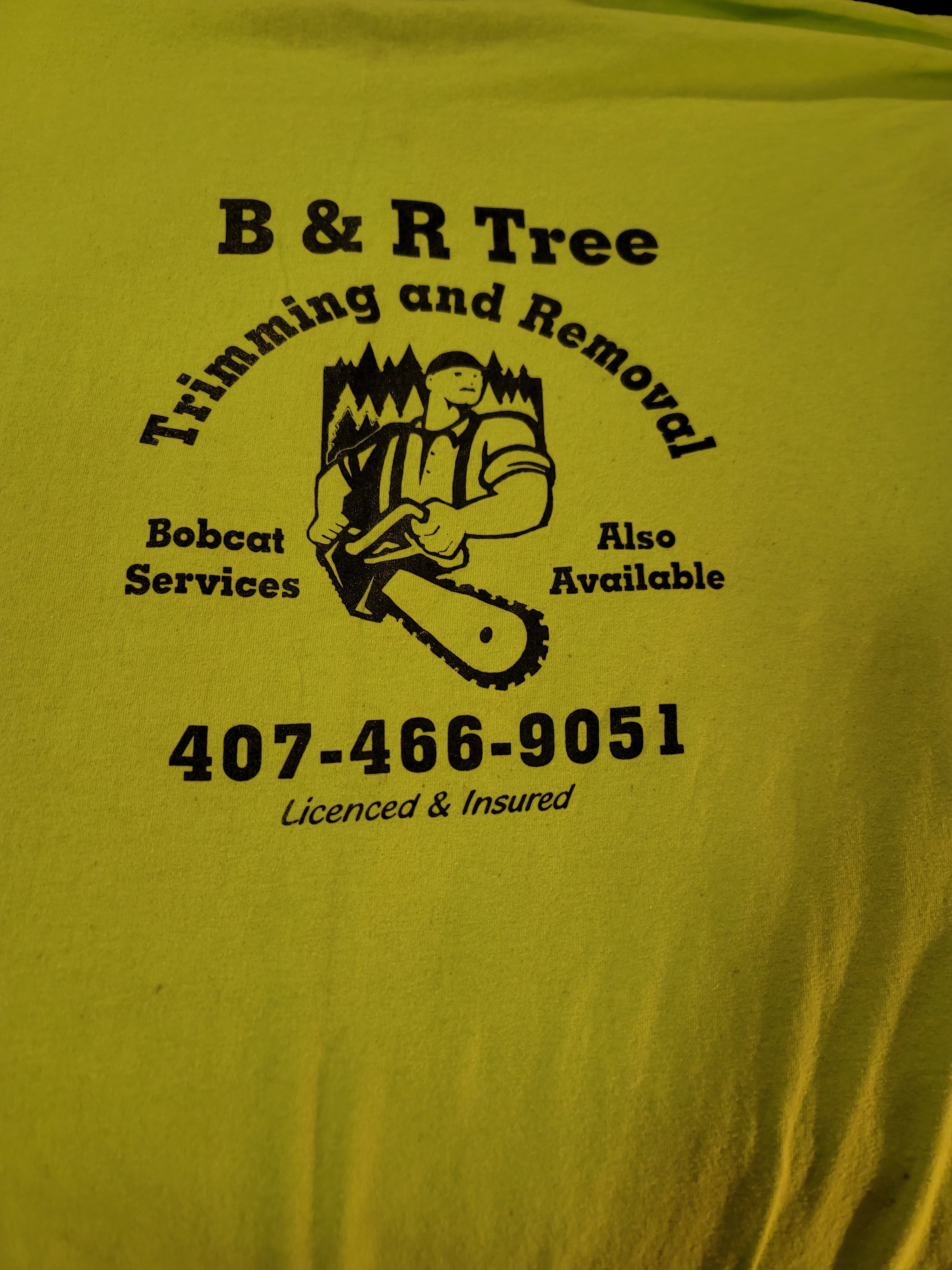 B & R Tree Trimming and Removal LLC Logo