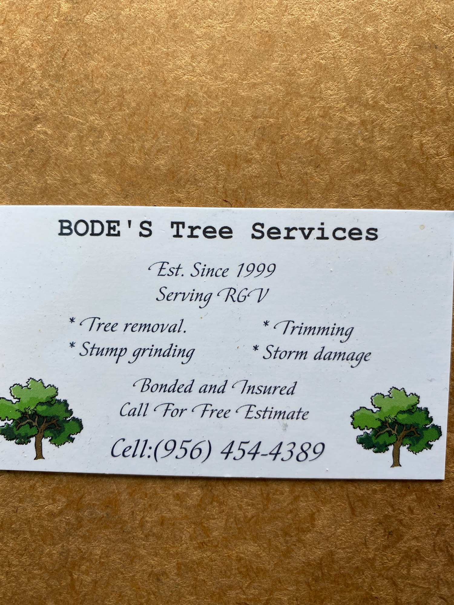 Bode's Tree Trimming & Tree Removal Logo