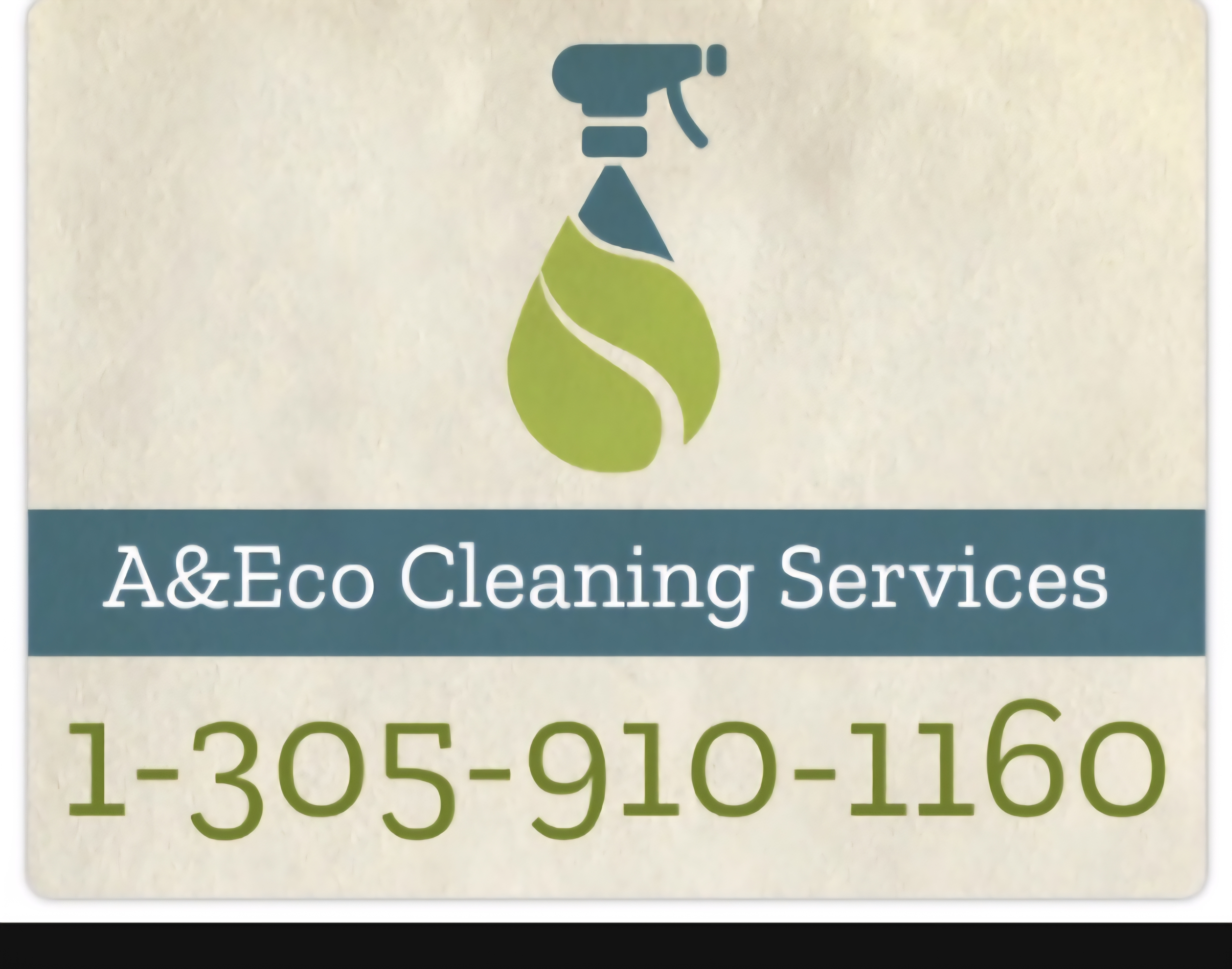 A&eco cleaning services Logo