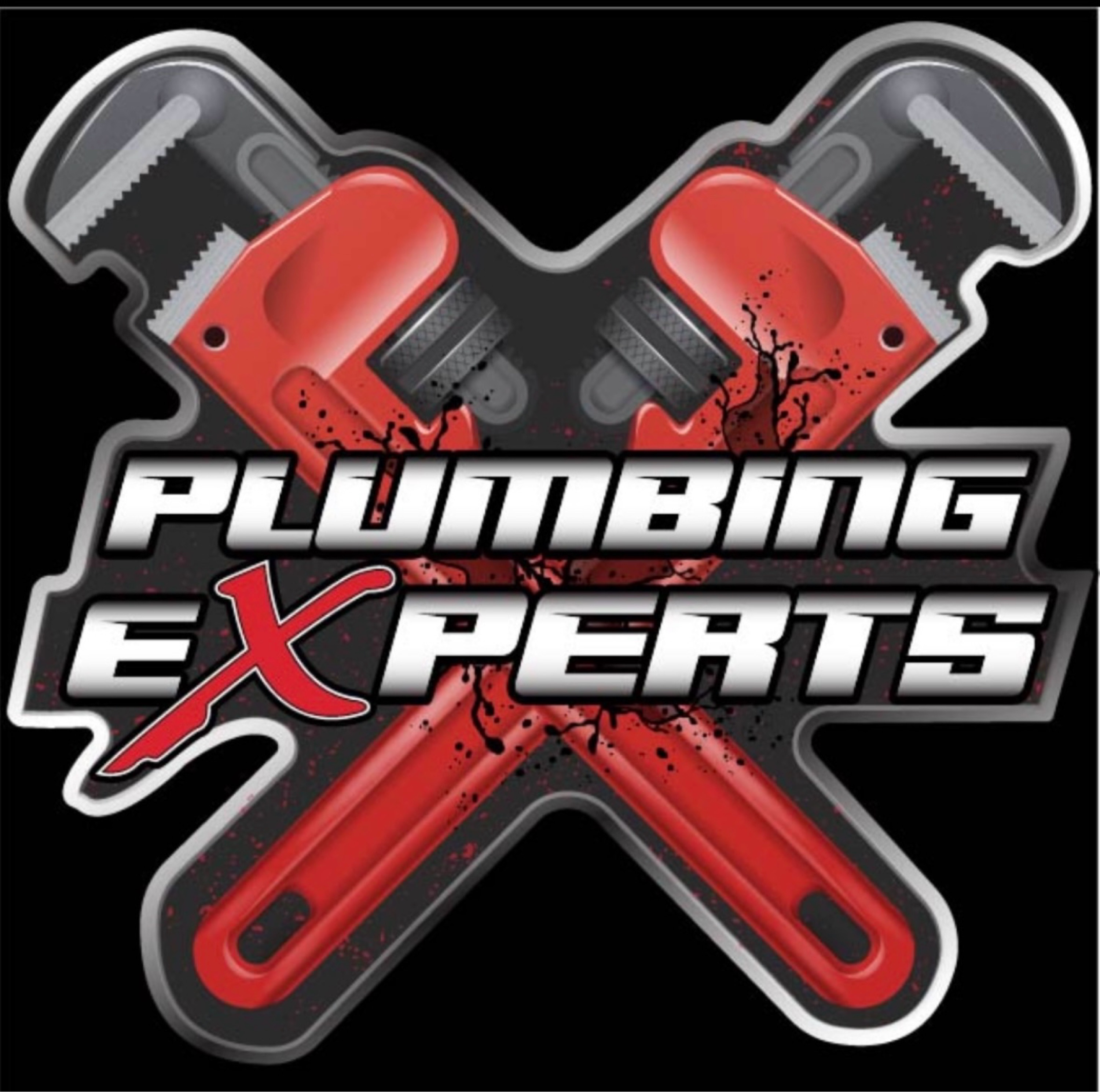Plumbing Experts Logo