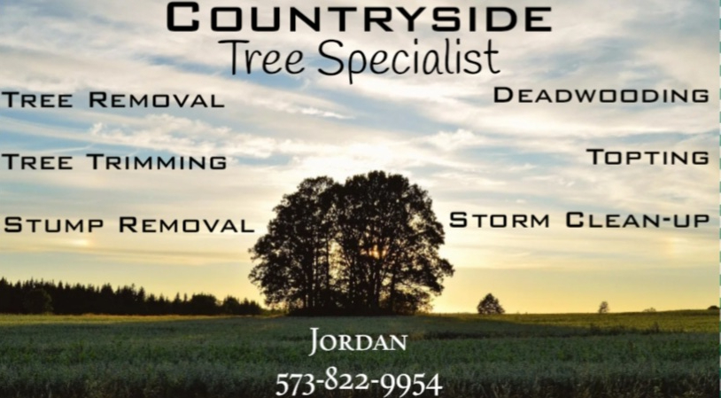 Countryside Tree Specialist Logo