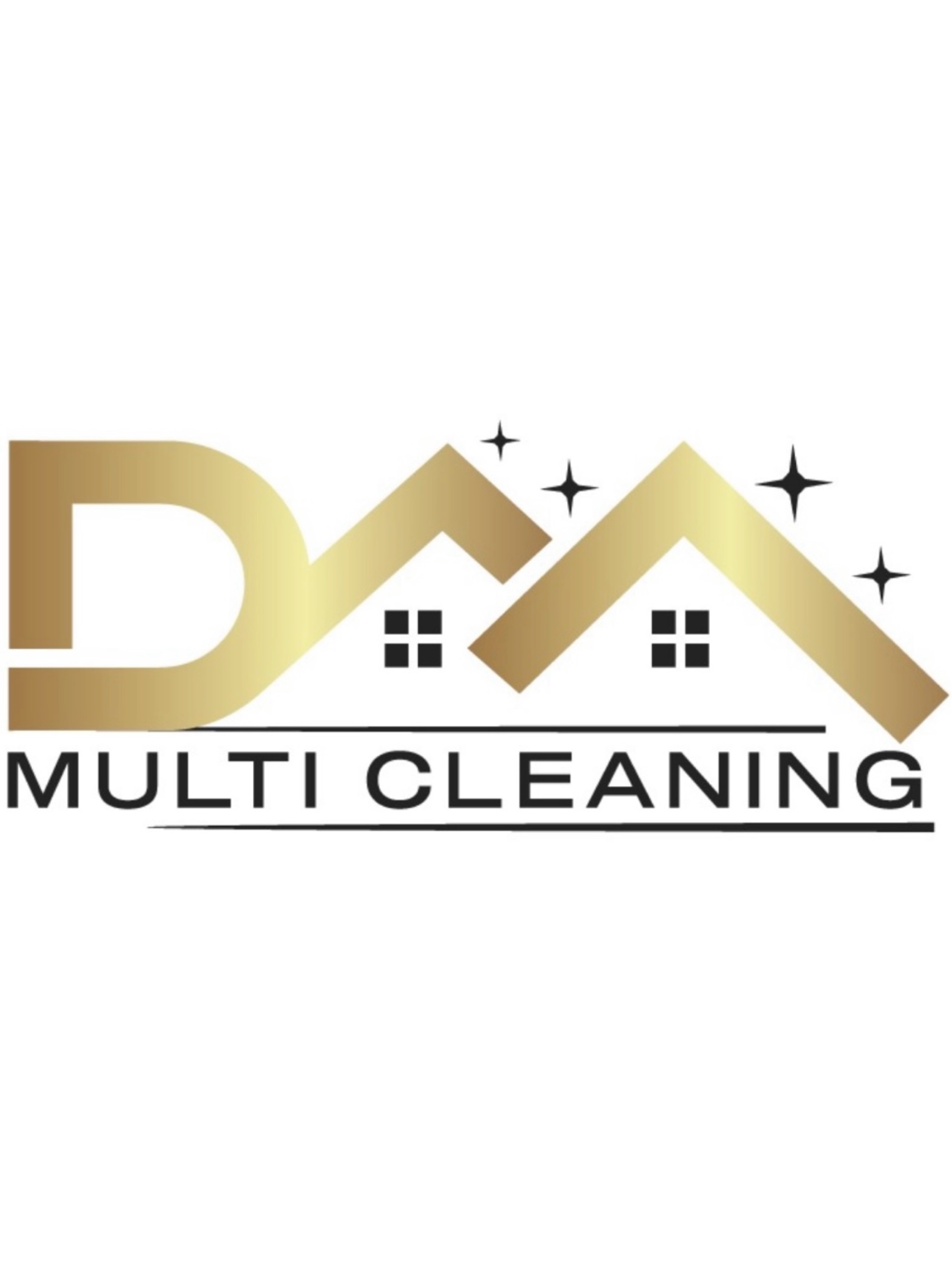 DM Multi Cleaning Logo