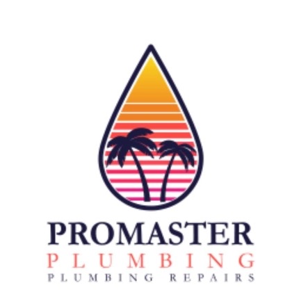 Mohammad Housmandi The Promaster Logo