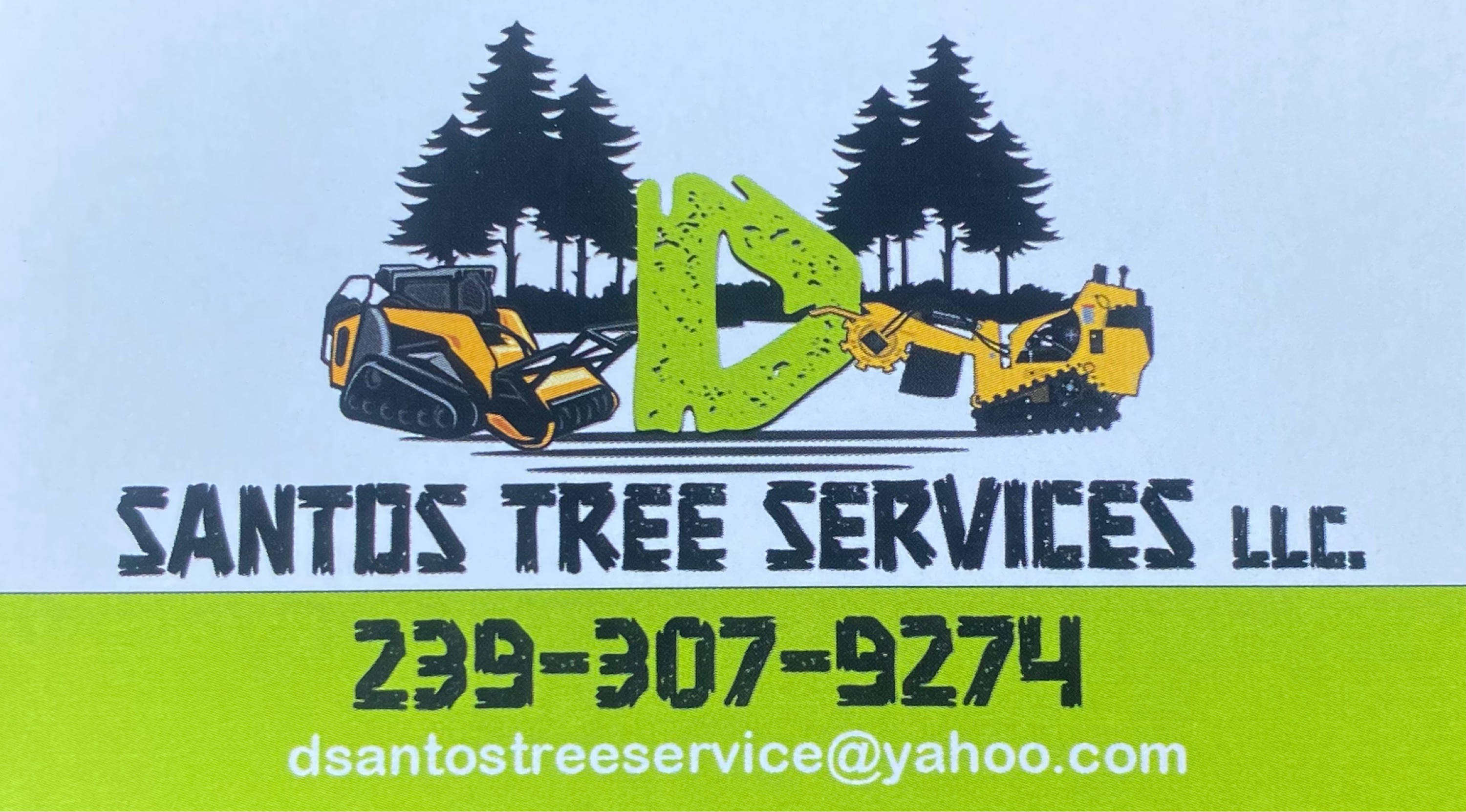 D Santos Tree Service Logo