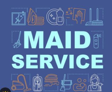 Brown Professional Cleaning Service Logo