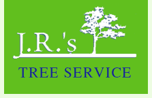 Jr. Tree Landscape Corp Logo