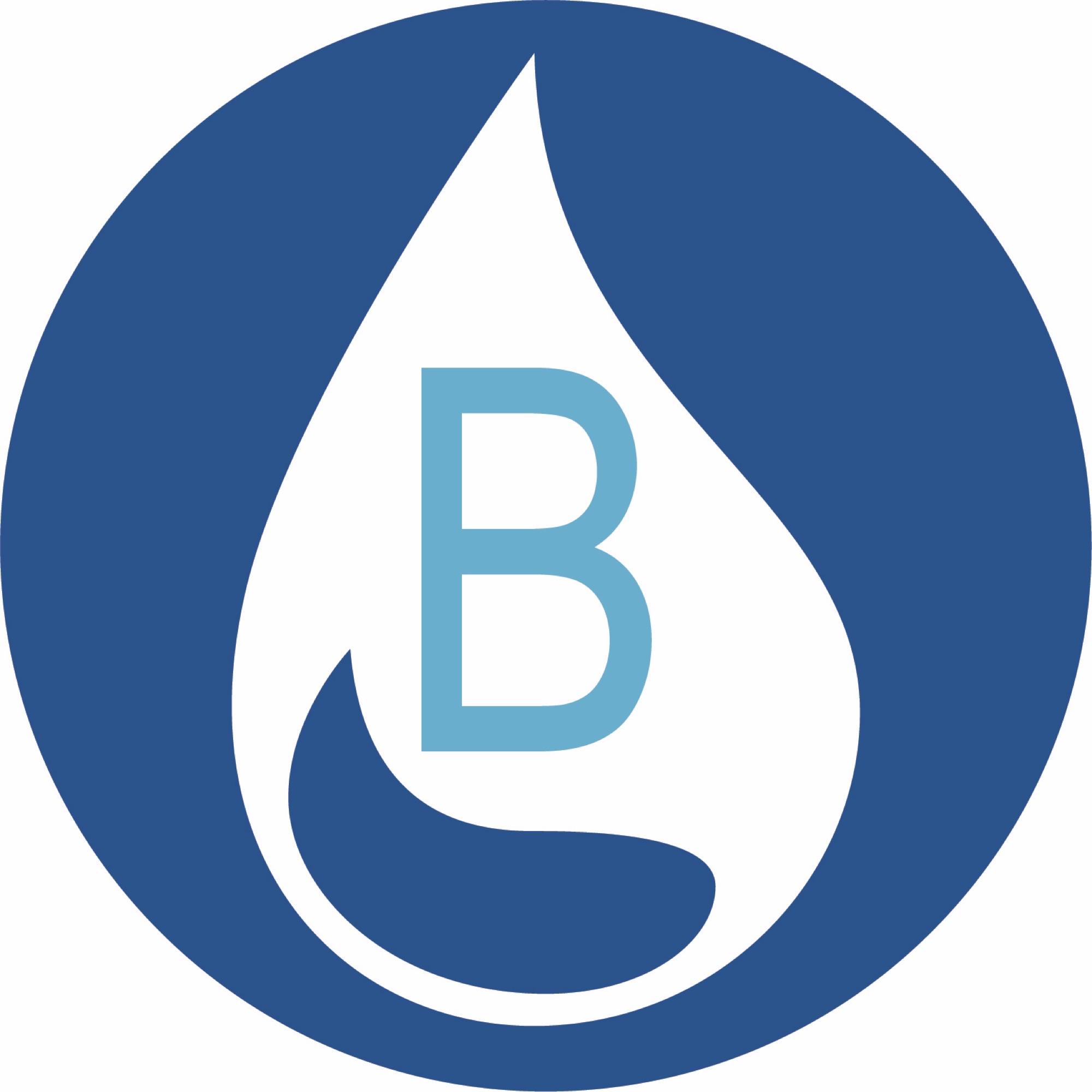 Browns Water Well Solutions LLC Logo