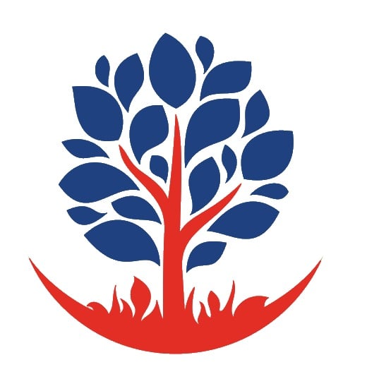 Patriot LFS, Inc. Logo