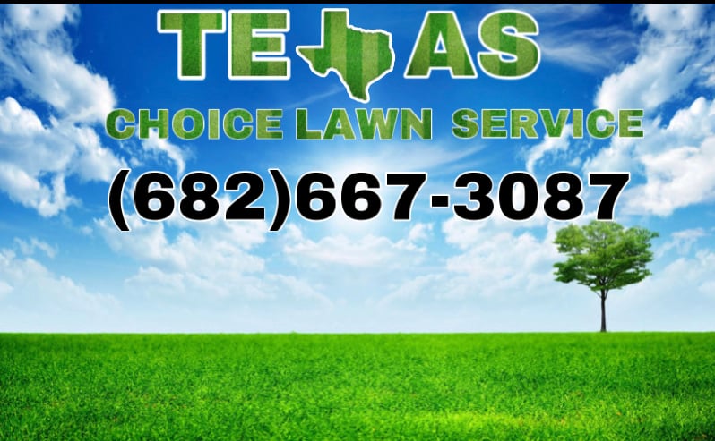 Texas Choice Lawn Care Logo