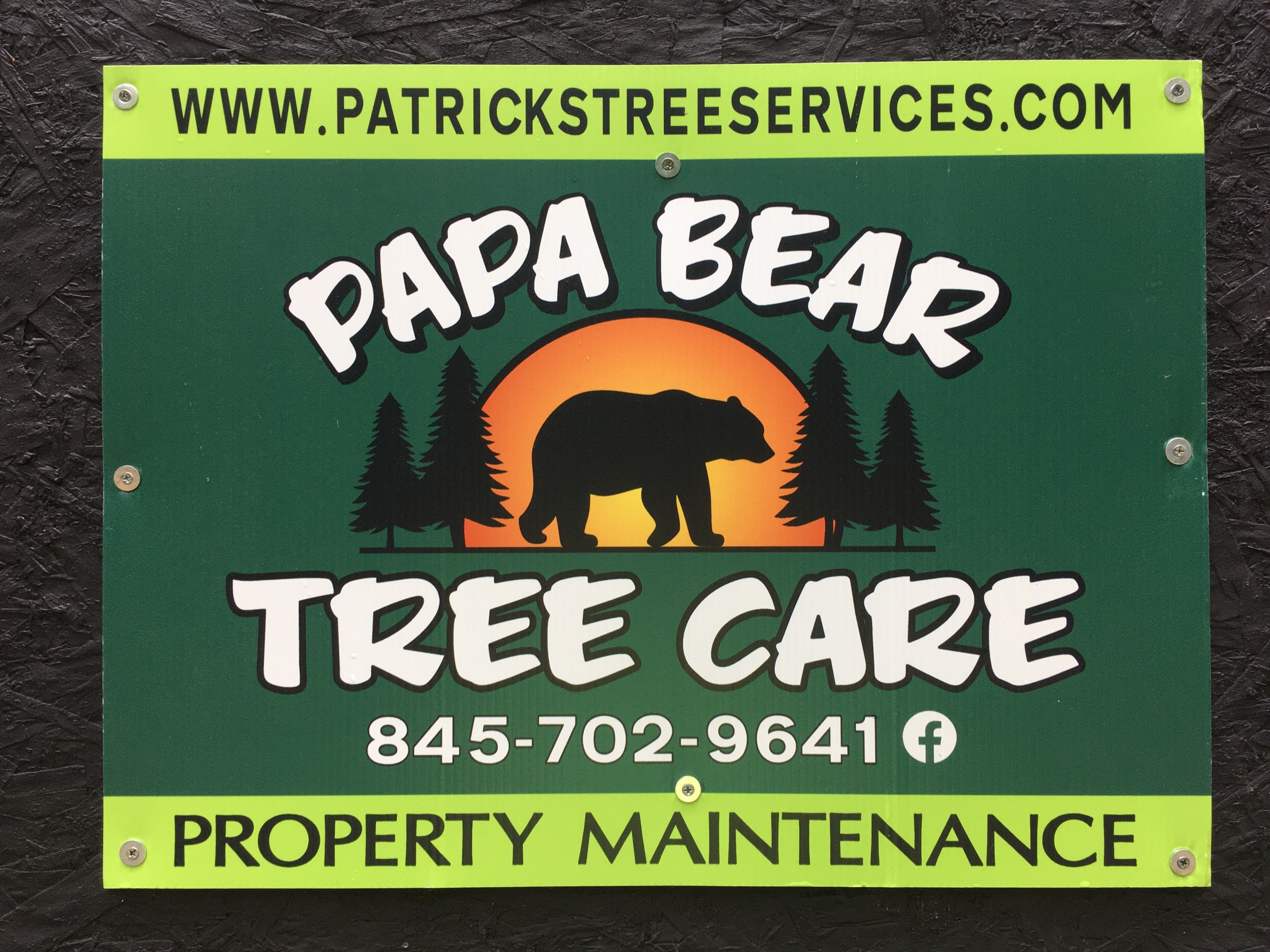 Papa Bear Tree Care Logo