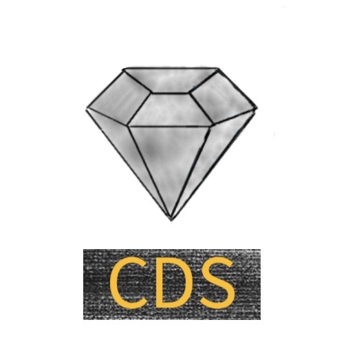 Carbon Digital Solutions, LLC Logo