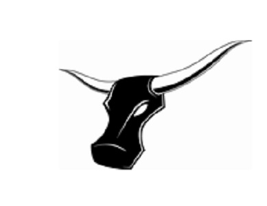 Longhorn Inspections, Inc. Logo