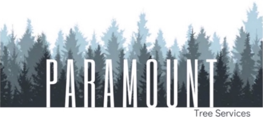 Paramount Services Logo