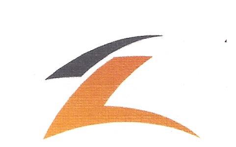 Lightning Electric Logo