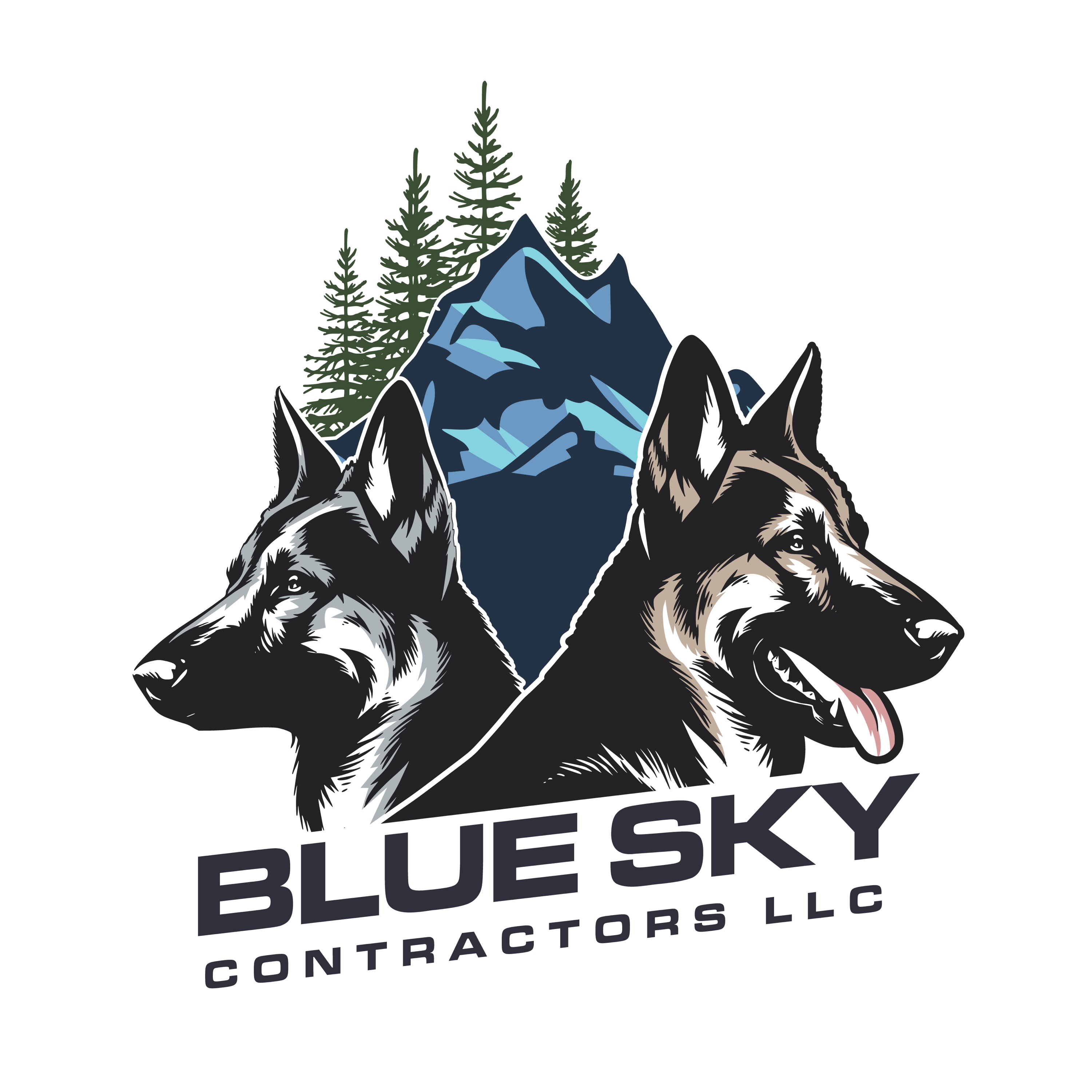 Blue Sky Contractors LLC Logo