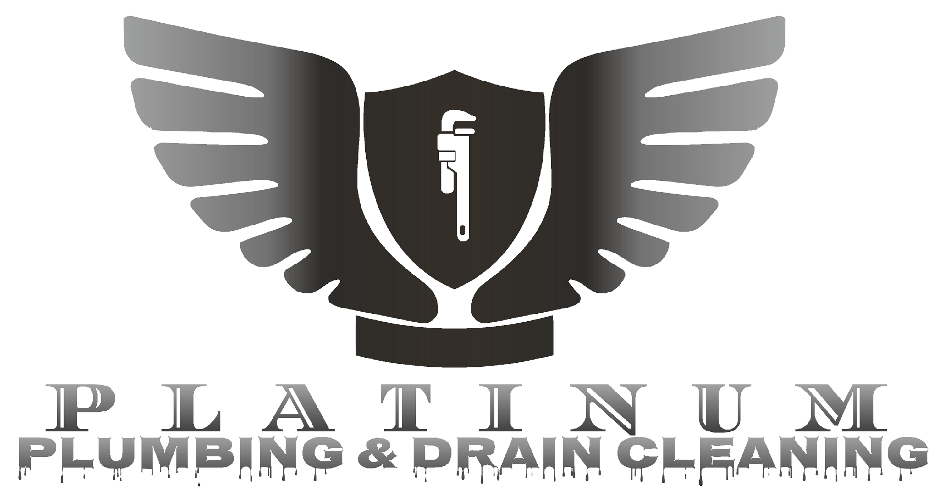 Platinum Plumbing and Drain Cleaning Logo