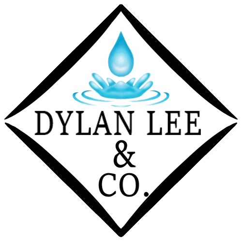 Dylan Lee & Co. Logo
