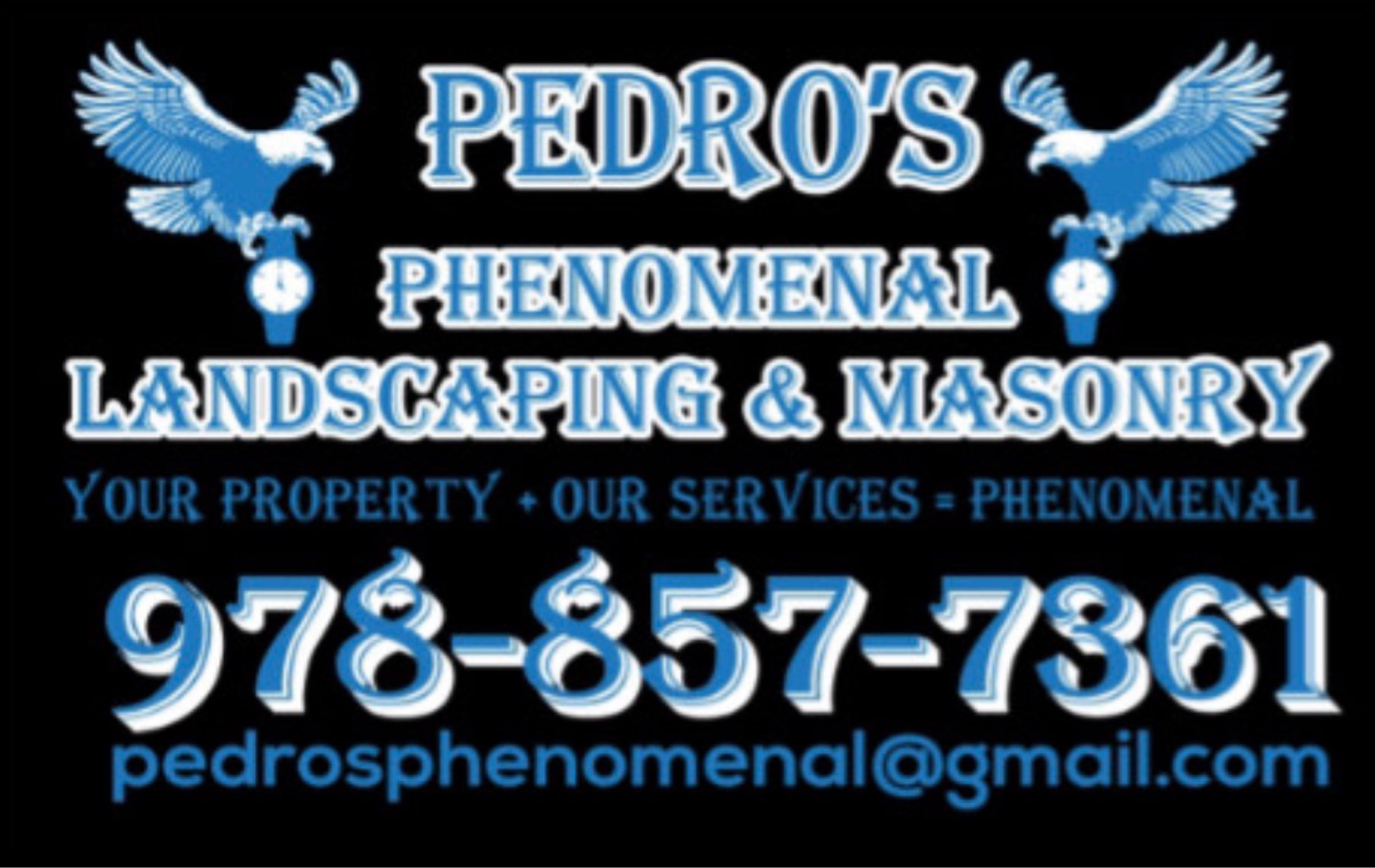 Pedro's Phenomenal Landscape & Masonry Logo