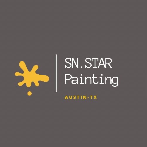SN Star Painting Logo