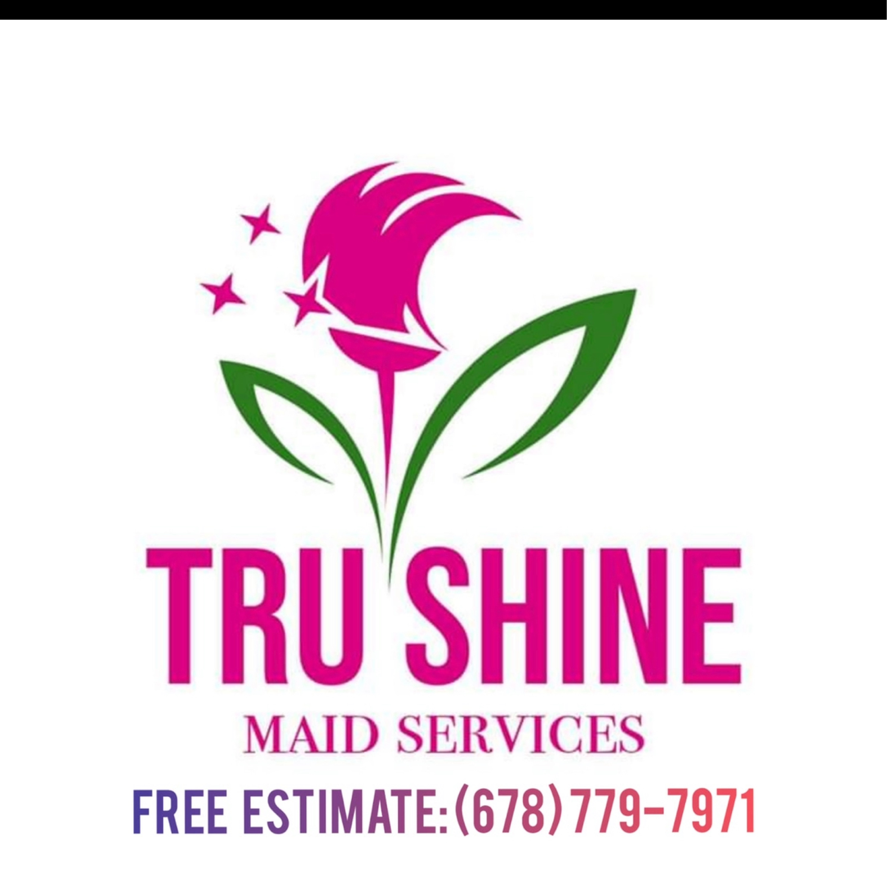True Shine Maid Services Logo