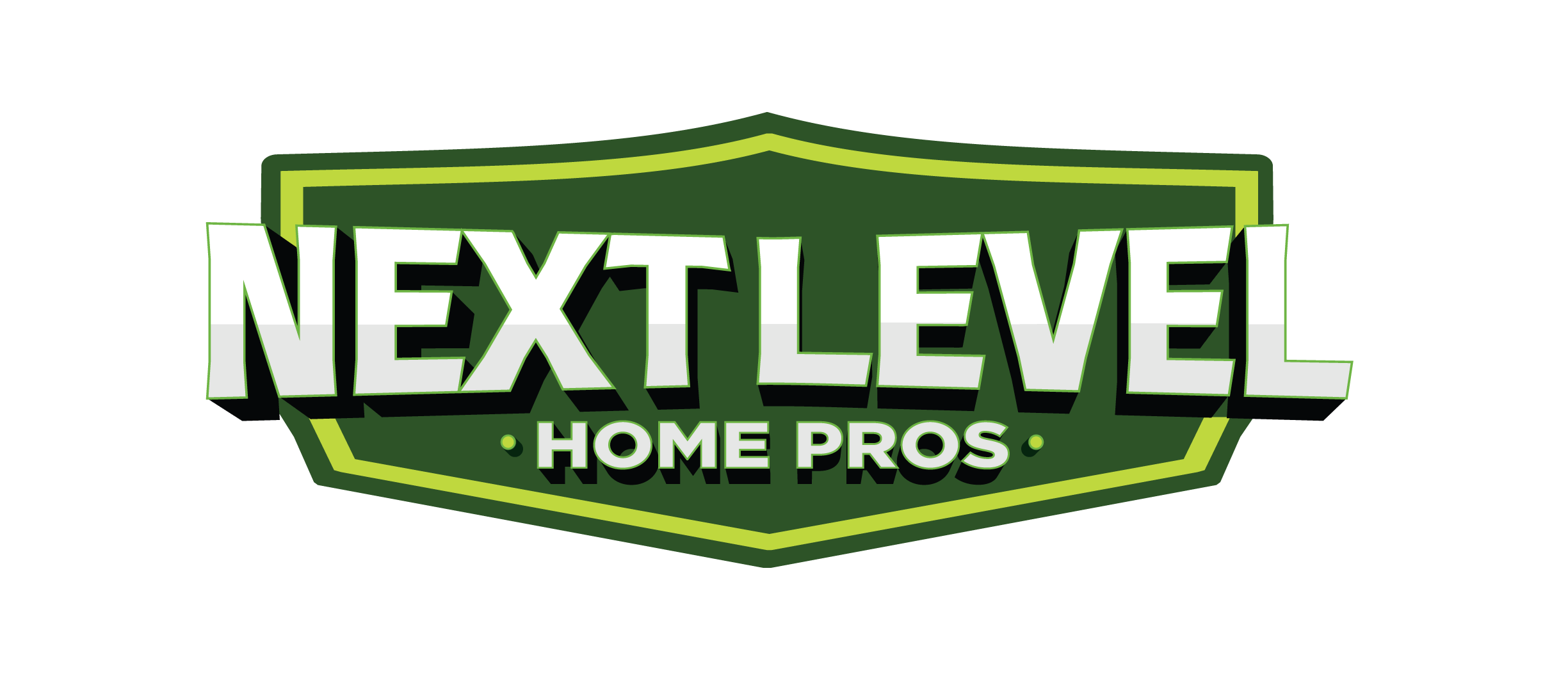 Next Level Home Pros Logo