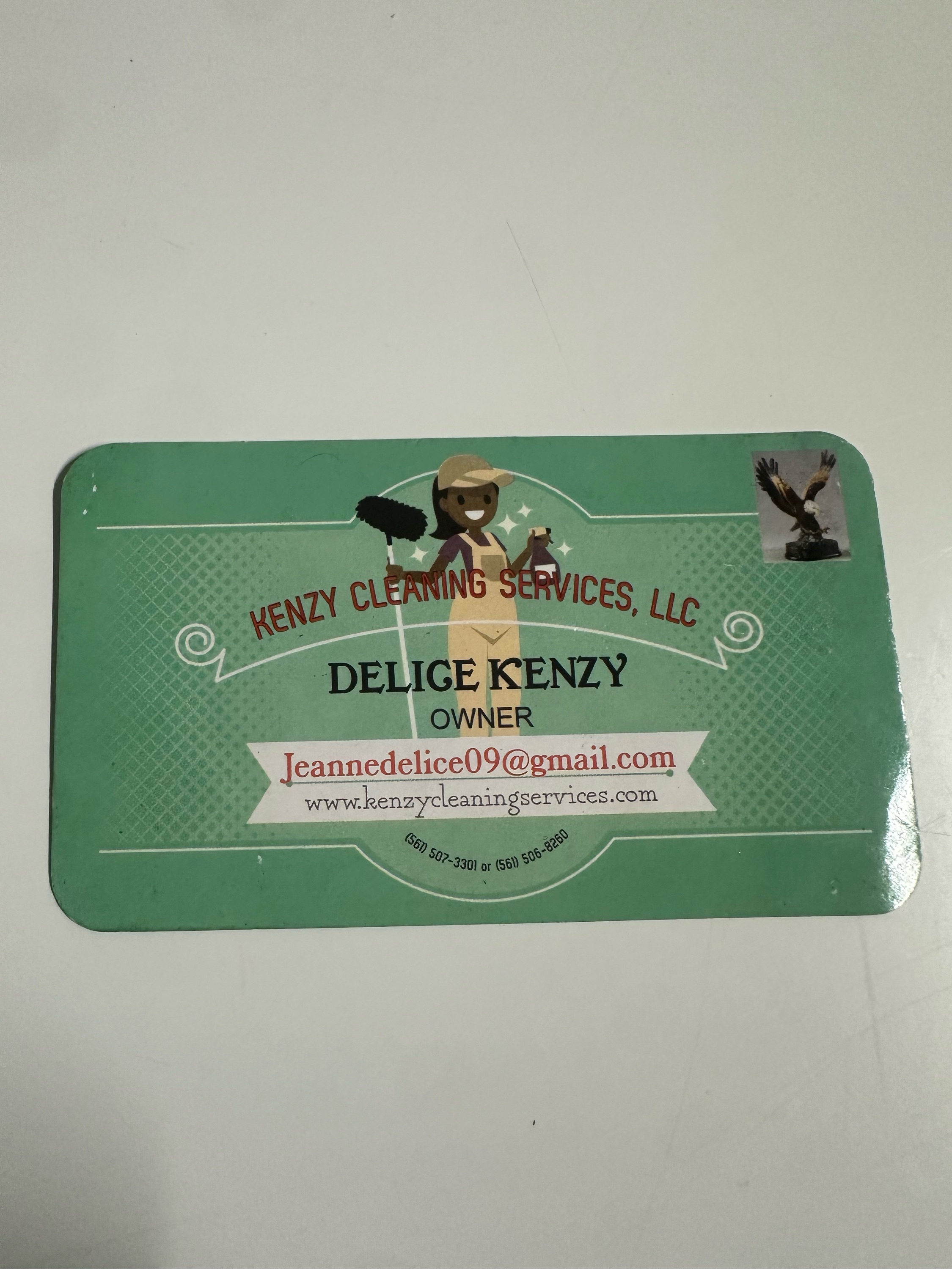 KENZY CLEANING SERVICES Logo