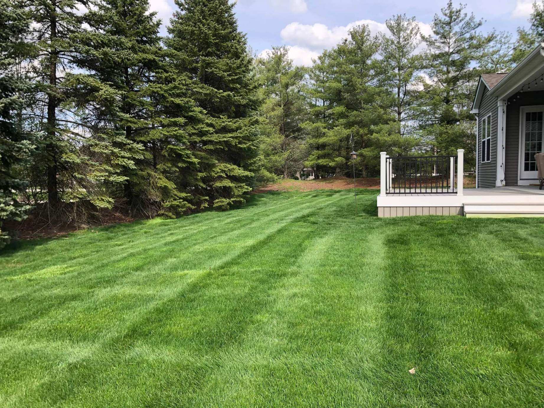 Clarks landscaping Logo