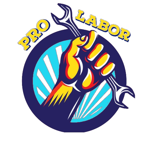 ProLabor Handyman Services, LLC Logo