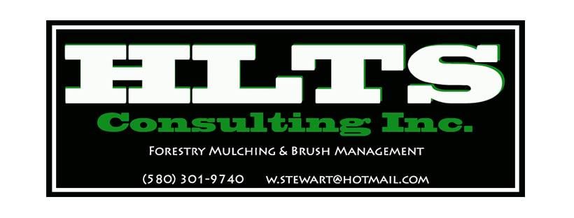 HLTS Consulting Logo