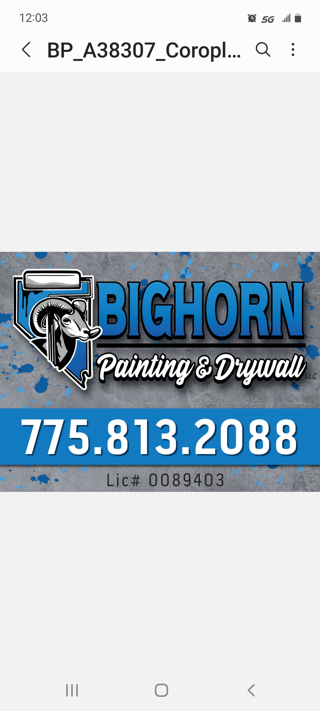 Bighorn Painting & Drywall, LLC Logo