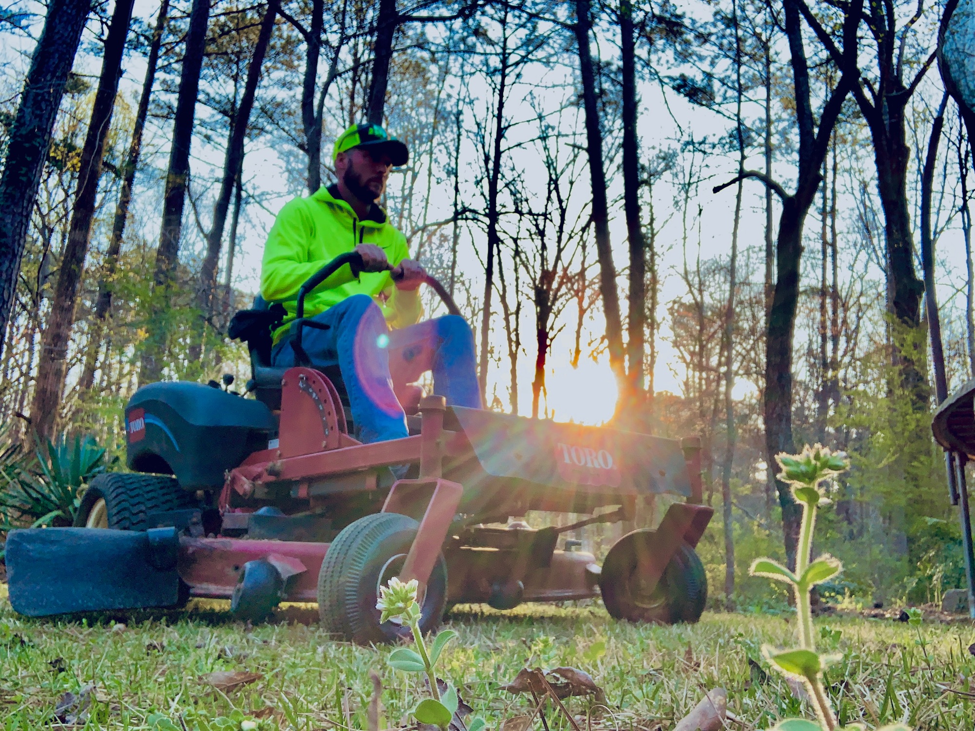GlennScapes Lawn and Maintenance Logo