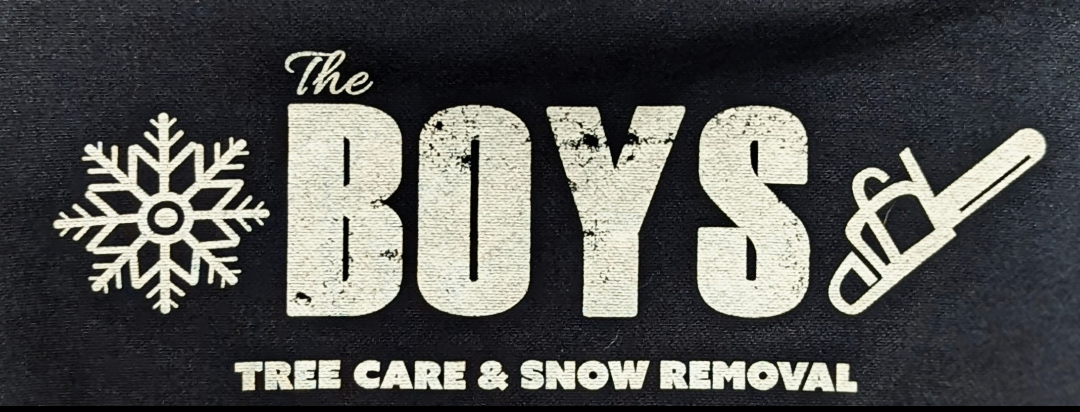 The Boys Tree Care and Snow Removal Logo