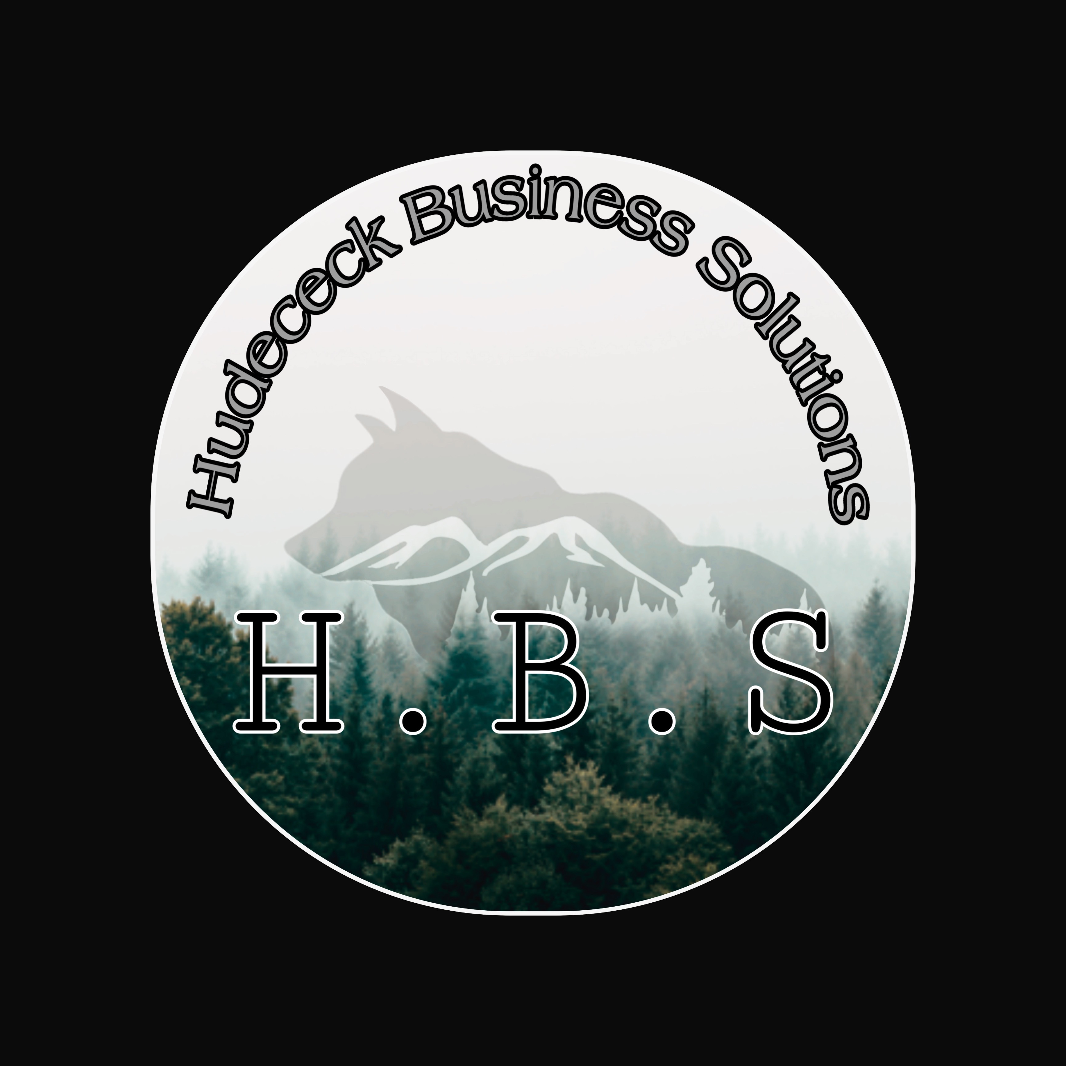 Hudecek's Business Solutions Logo