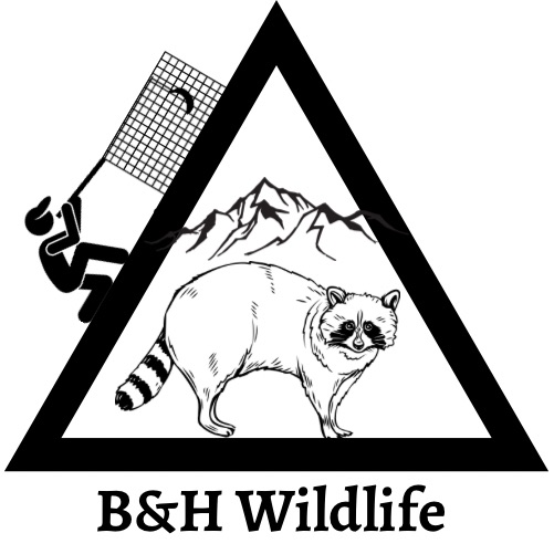 B&H Wildlife Logo