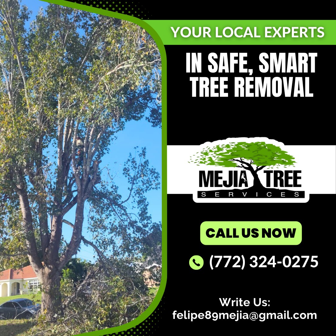 Mejia's Tree Services Logo