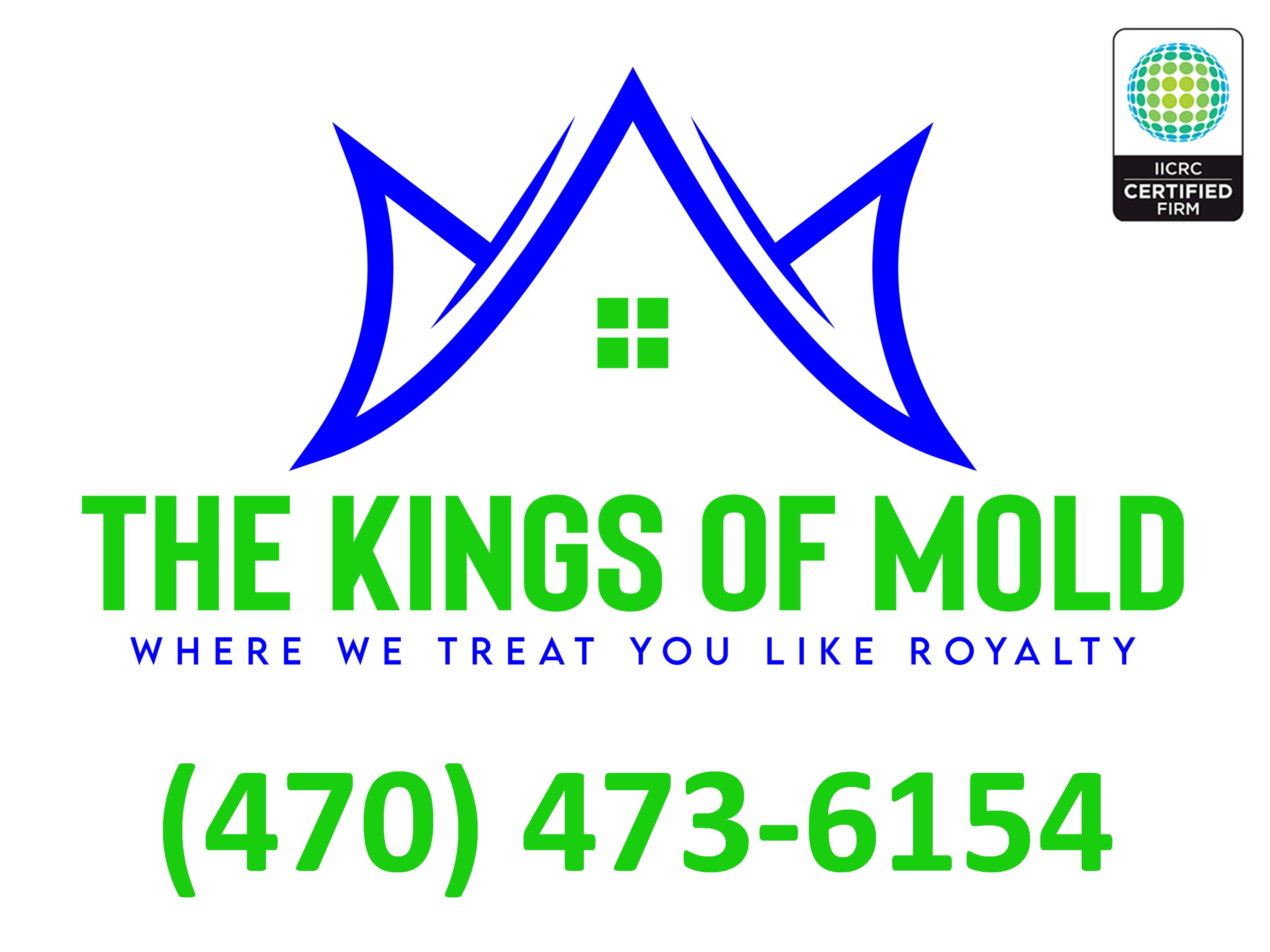 The Kings Of Mold LLC Logo
