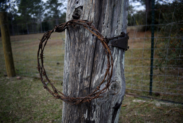 Sadler Fencing & Repair Logo