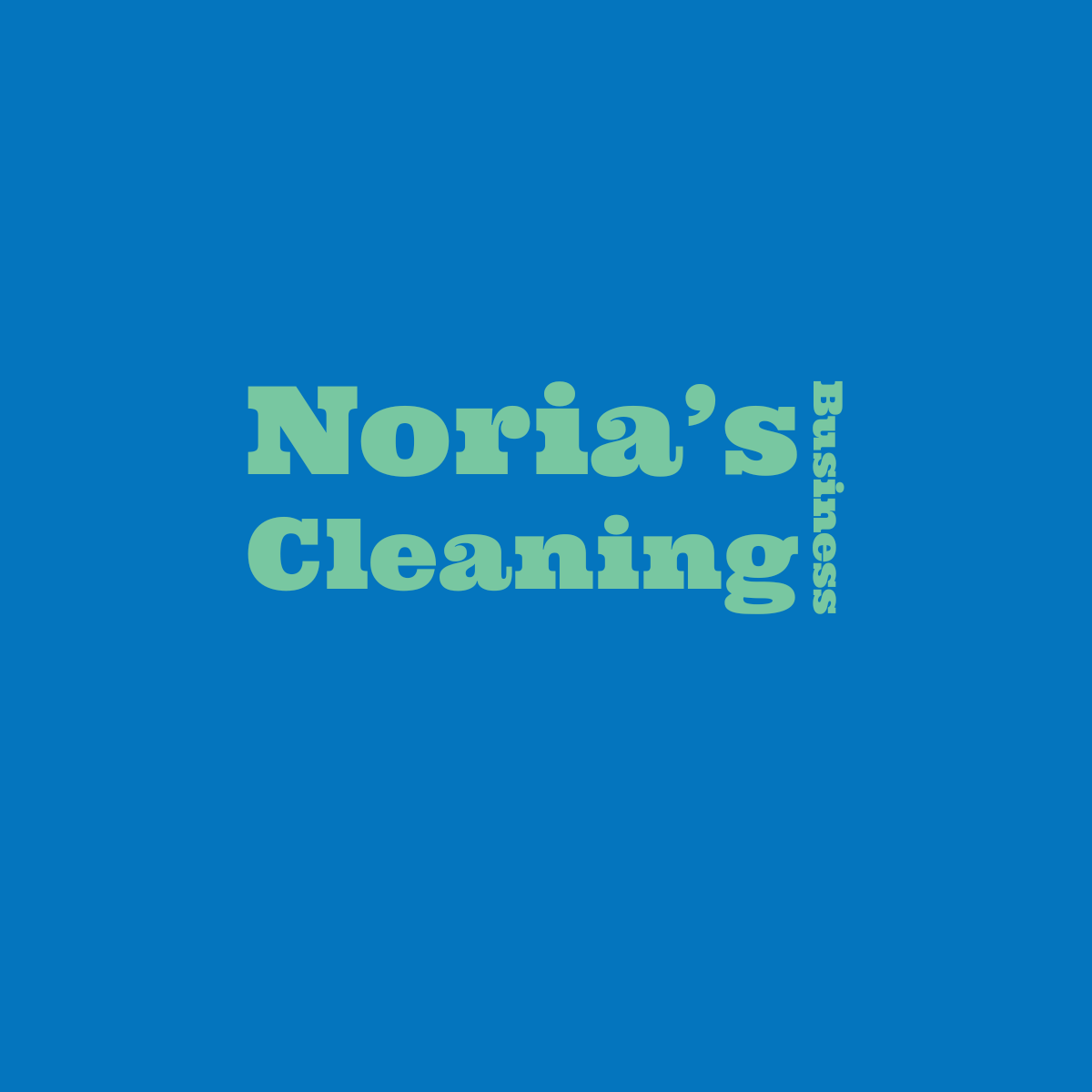 Noria's House Cleaning Services, LLC Logo
