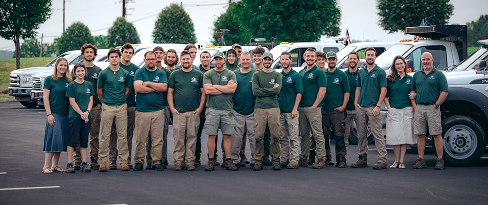 P & A Landscaping Logo