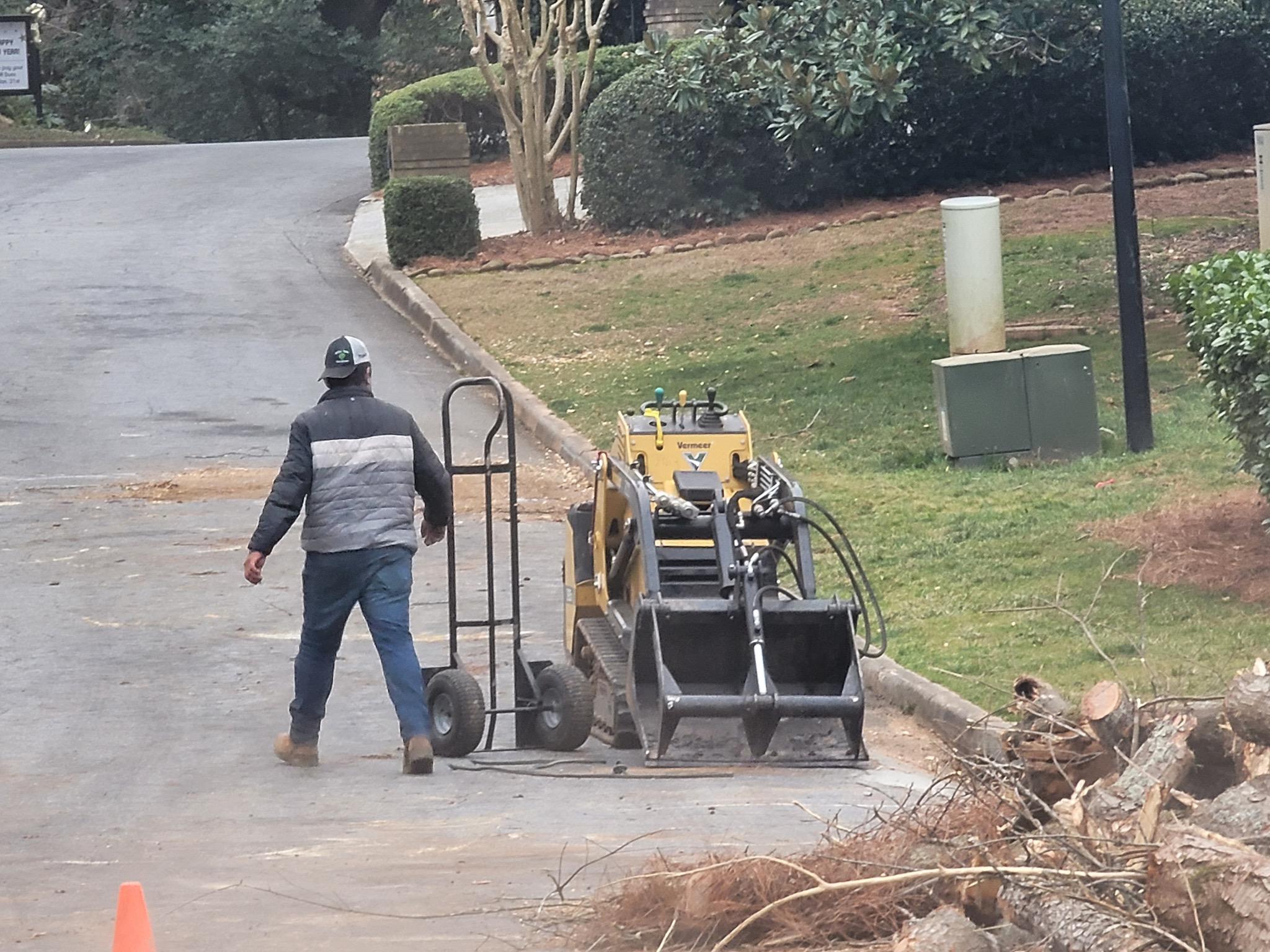 Green Tech Tree Removal Logo