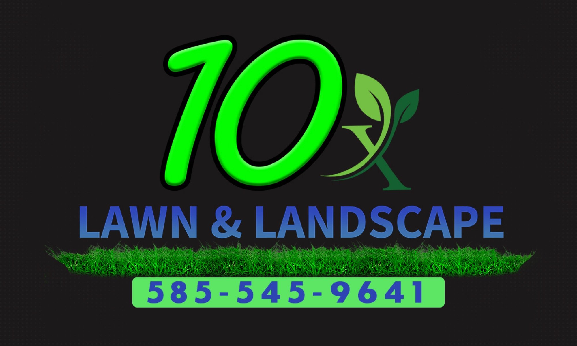 10X Lawn and Landscape Logo