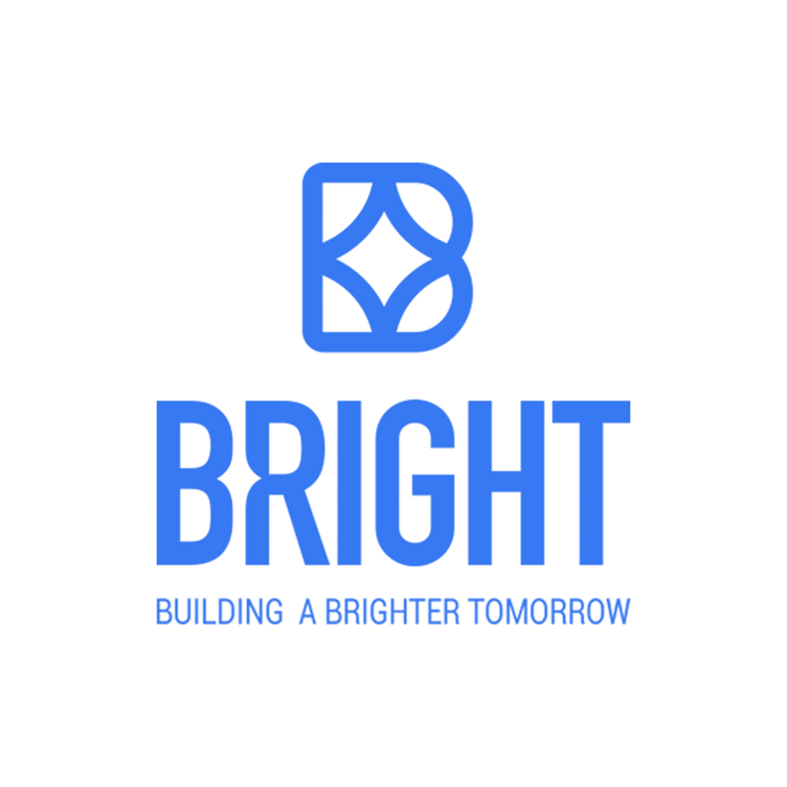 Bright Remodeling & Construction LLC Logo
