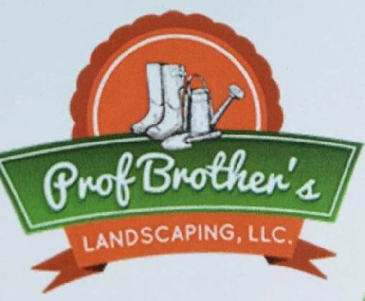 PROFESSIONAL BROTHER'S LANDSCAPING LLC Logo