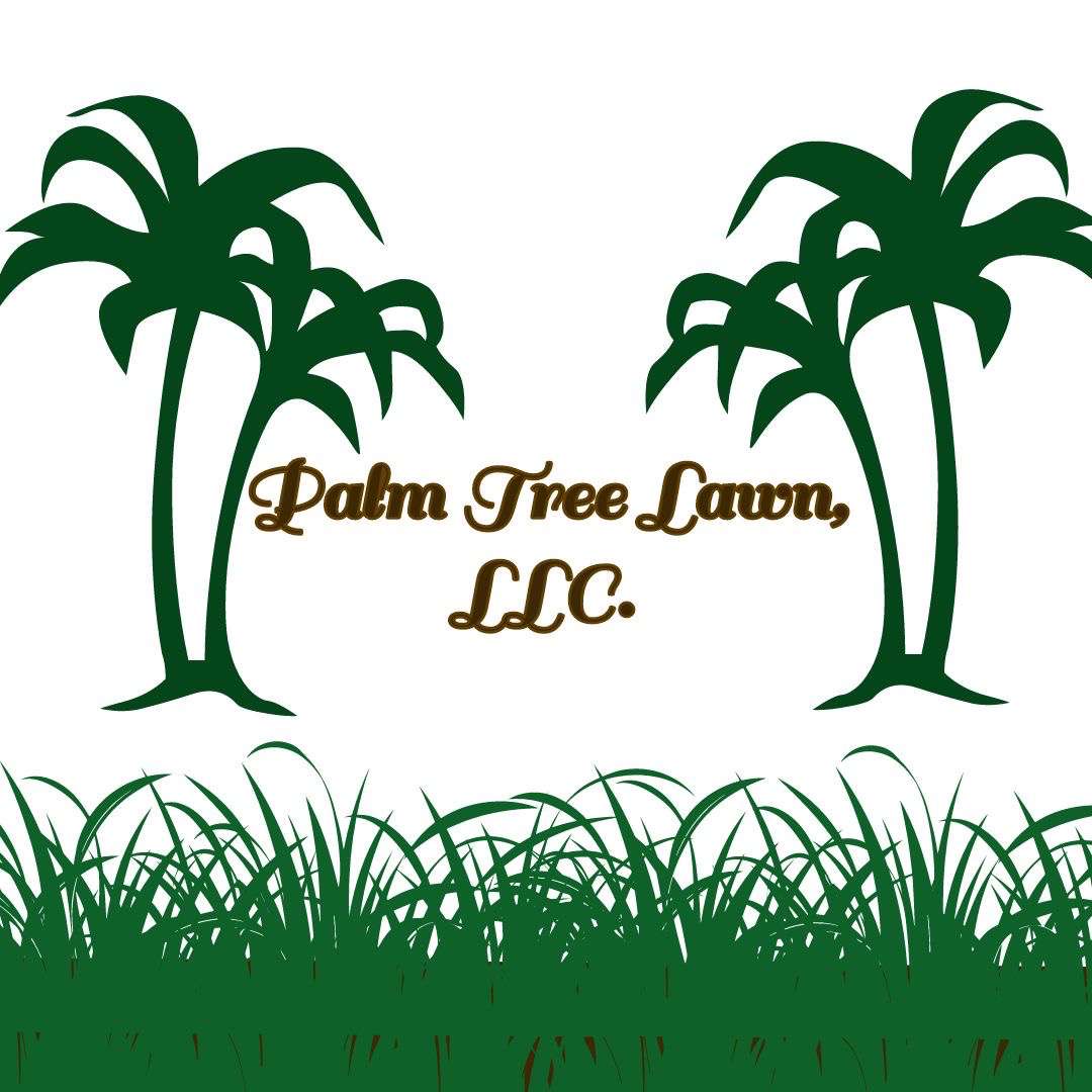 Palm tree lawn  Logo