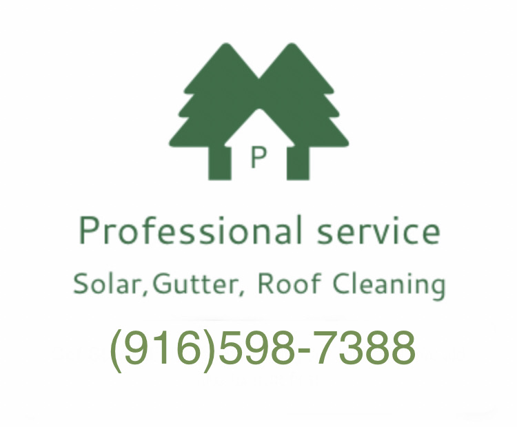 Professional Roof & Gutter Cleaning Services Logo