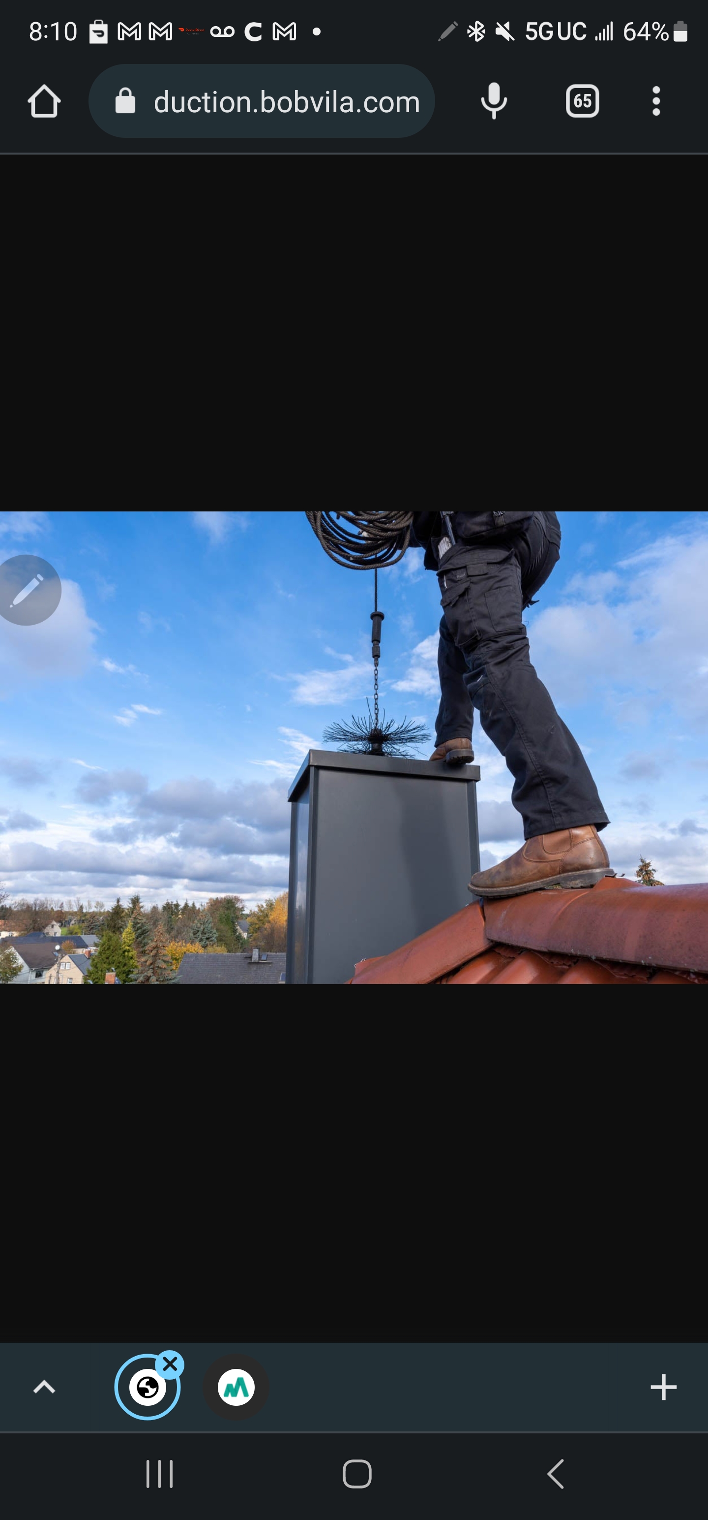 Professional Chimney Service of Michigan Logo