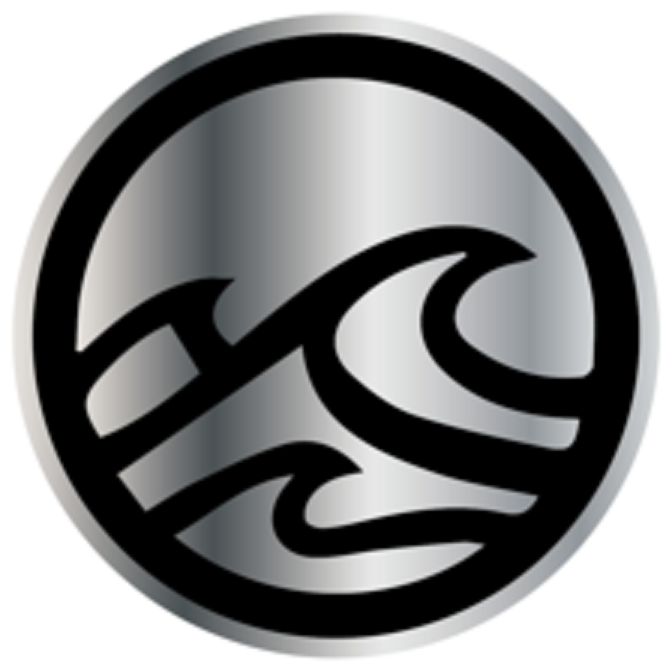 Platinum Wash 360 Logo